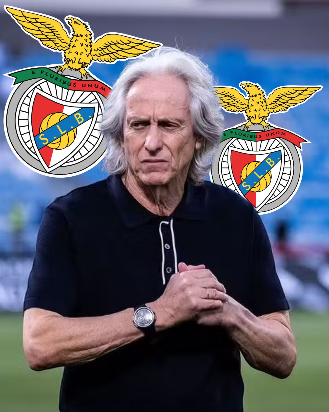 2438778 (42)